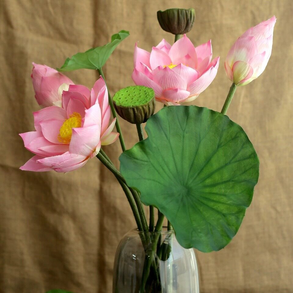 仿真荷花pu带杆荷叶荷花单枝装饰假花水池水面莲花绢花莲蓬大荷