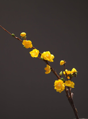 春三月舞蹈花枝道具高端腊梅仿真花干花假花插花花束梅花枝条摆设