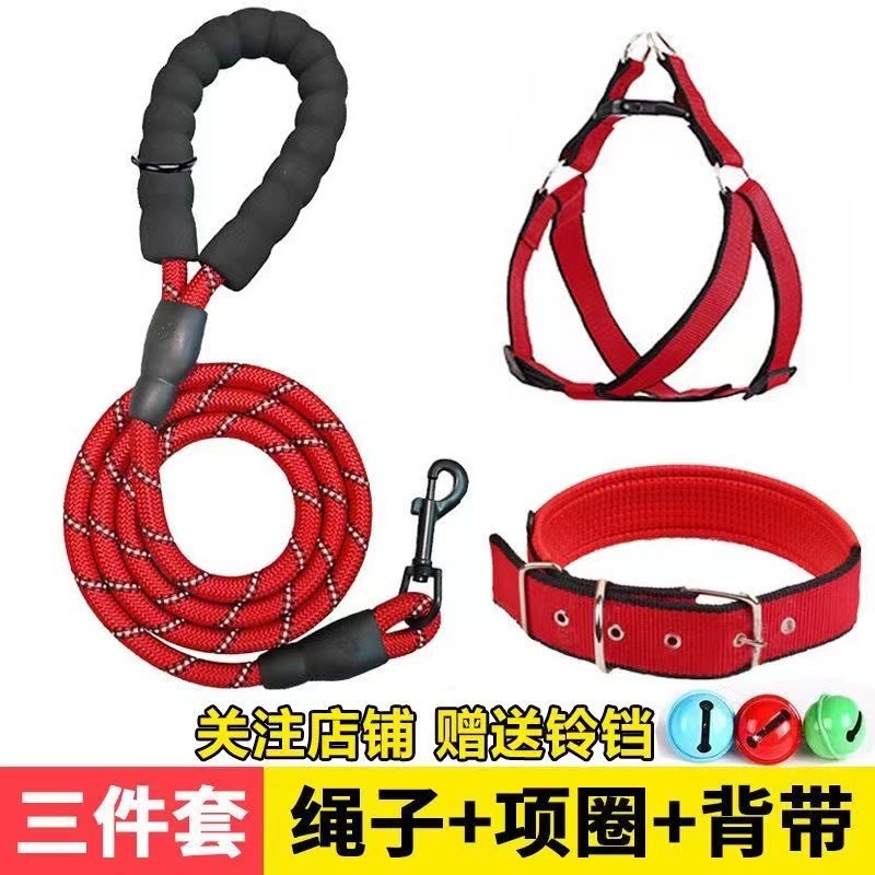 狗狗胸背带项圈狗带牵引带马犬项圈式大中型犬狗简单遛狗绳背心式