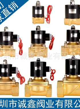 森亚SENYA全铜常闭电磁阀水阀 2分4分6分1寸2寸气阀220V 24VDC12V