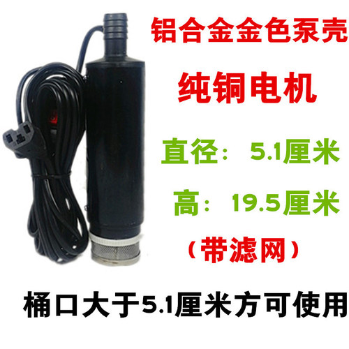 抽油泵柴油12hV48V60V抽水泵电动小型电动车三孔插头抽油器加油机
