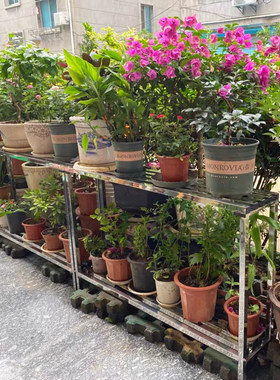 不锈钢阳台e户外防腐花架双层单层多层置物架多肉兰花特价花盆架