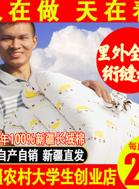 新疆棉被里外全棉100%长绒被子纯棉花被垫被棉絮床垫褥Z子棉胎被