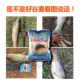 野战天下合川谷麦窝料江河野钓鲤鱼草鱼鲫鱼青鱼饵W挂钩饵打窝钓
