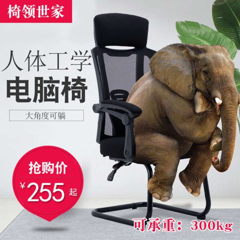 工厂 电脑椅可升降办公椅家用舒服可躺会议椅久坐不累弓形椅
