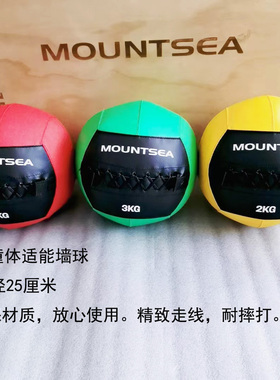 健身墙球儿童体适能少儿软药球体能训练爆发力平衡1 2 3公斤