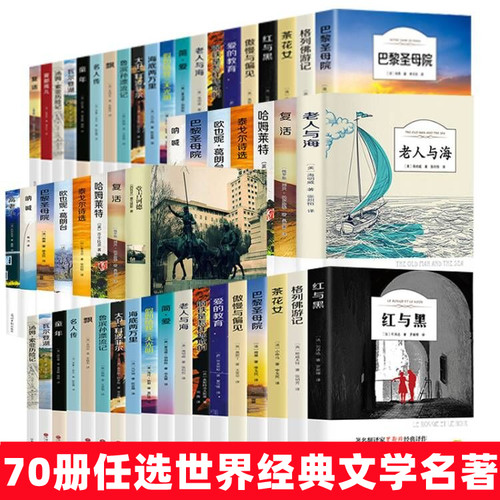 正版傲慢与偏见柳林风声小王子巴黎圣母老人与海昆虫记世界名著书