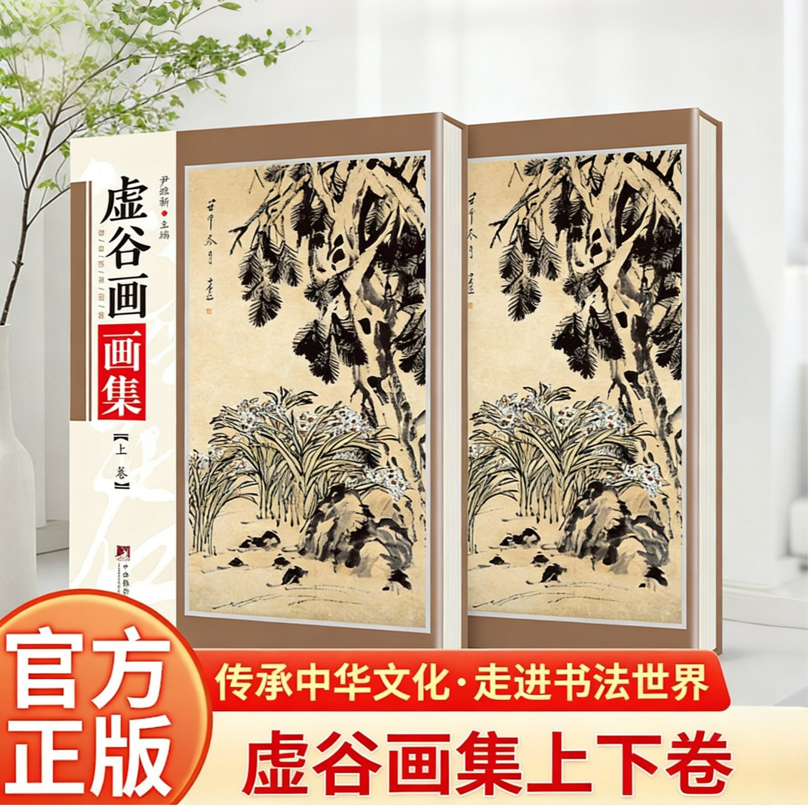 正版推荐 虚谷画集铜版彩印上下2卷渐江画册髡残画册书画阅读书籍