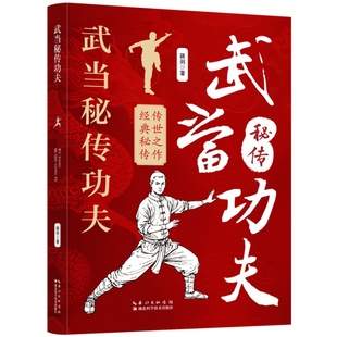 武当秘传功夫 太极拳内功心法拳法教程图谱武术传世之作经典书籍