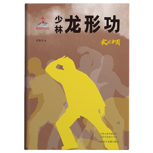 武术中国少林龙形功 少林龙形功劲力发放与实战搏击应用技法书籍