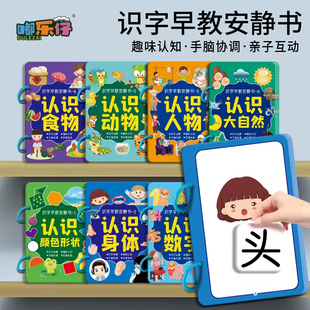 识字早教安静书2至6岁粘贴式 幼儿童宝宝学前启蒙看图认字卡片全套