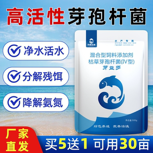 千亿枯草芽孢杆菌水产养殖鱼塘EM菌原种复合芽孢降氨氮净水活菌粉