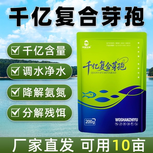 千亿复合芽孢水产养殖鱼塘降氨氮分解残饵死藻调水肥水活菌种粉剂