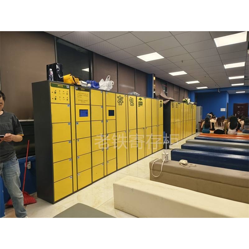 智能指纹识别储物柜/单位公司文件存取柜/体育场联网电子存包柜子