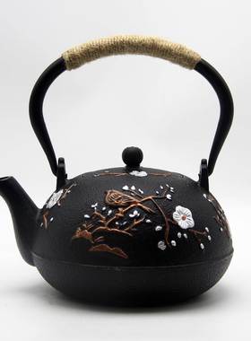 铁彩绘KLU铸铁壶新中双式泡手工养生带滤茶壶煮水茶生铁壶网茶具