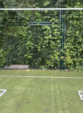 铁花架花门场REZ属户外摆件道具金新款铁艺圆环婚礼景布置方形艺