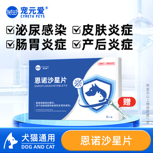 恩诺沙星片利尿通猫咪狗狗尿道消炎尿血结石泌尿系统药尿路感染