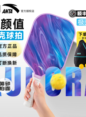 安踏匹克球拍套装磨砂高端专业入门拍新手入门专业匹克球拍套装