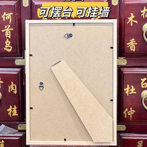 中药标本教学展馆标n本相框中药材装饰画文化墙标本挂画中药装饰