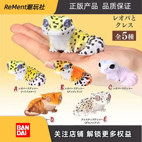 万代扭蛋生物大图鉴守宫软胶