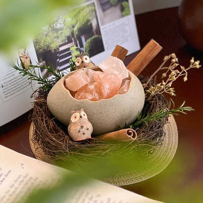 原创鸟巢扩香晶石香薰礼盒室内香氛新婚生日礼物三八节送男生女生