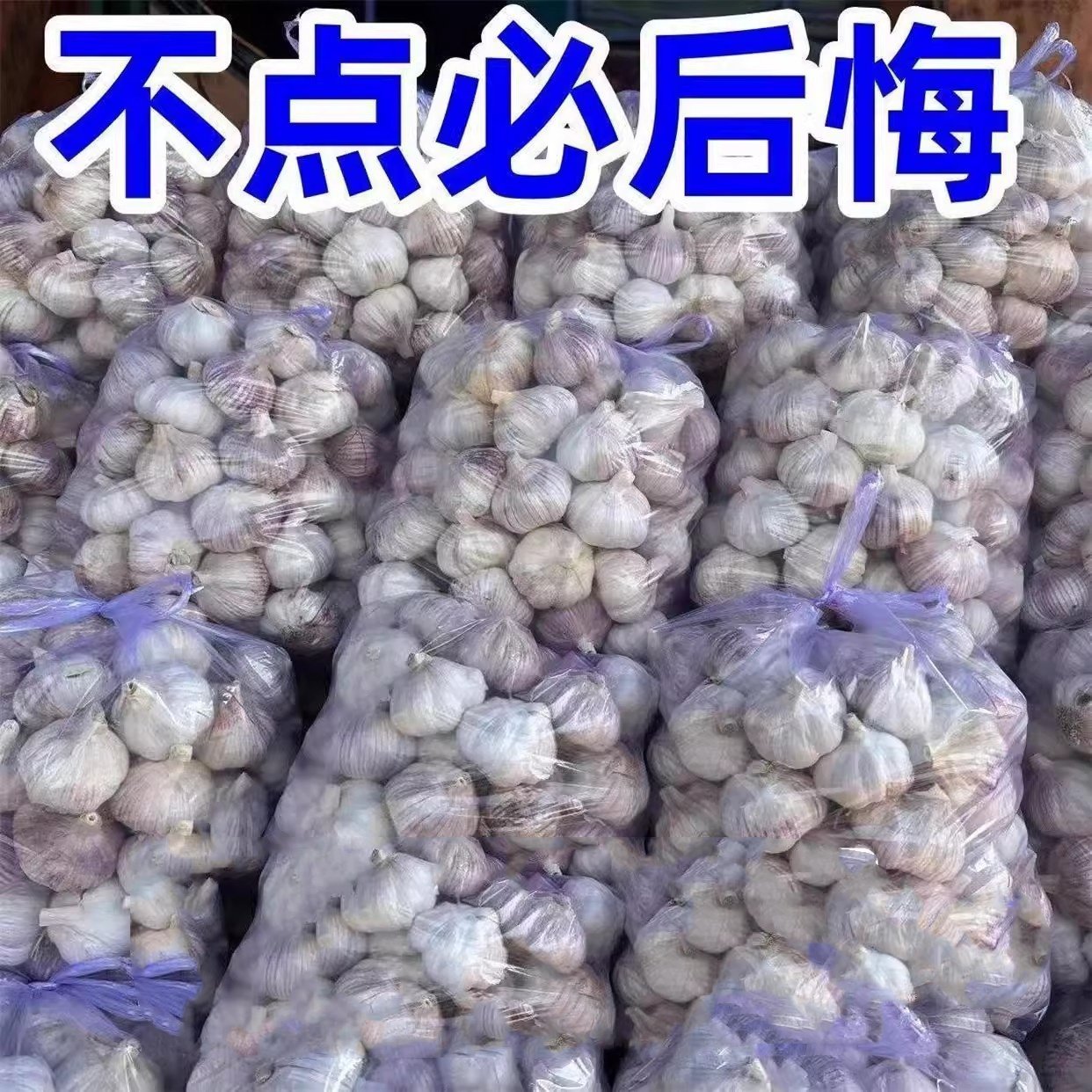 大蒜头干蒜5斤山东紫皮干鲜独头蒜多瓣白皮10斤装包邮农家新蒜
