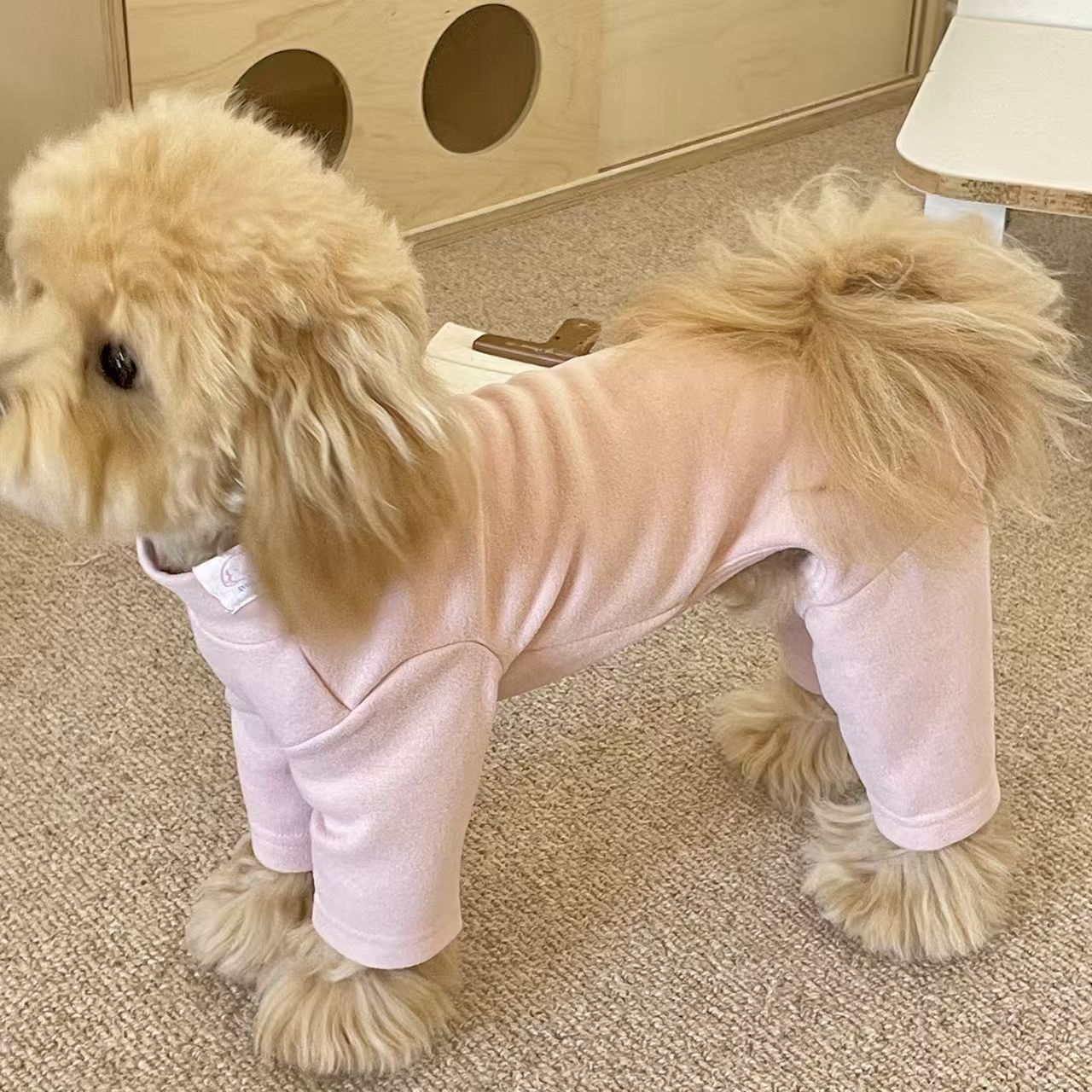狗狗衣服秋冬季新款保暖连体