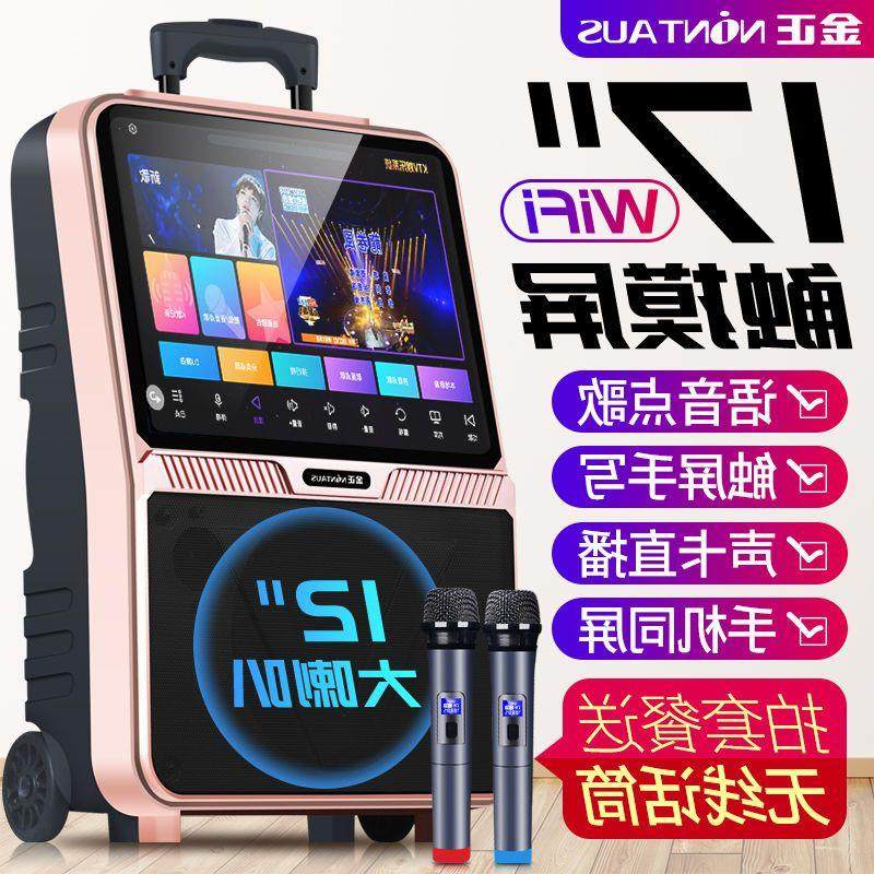 金正N60广场舞音响带显示大屏幕拉杆户外演出带无线话筒家用唱歌