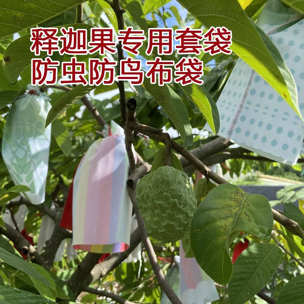 释迦果套袋布袋ap释迦凤梨牛奶大目番荔枝专用防虫防鸟防果蝇套袋
