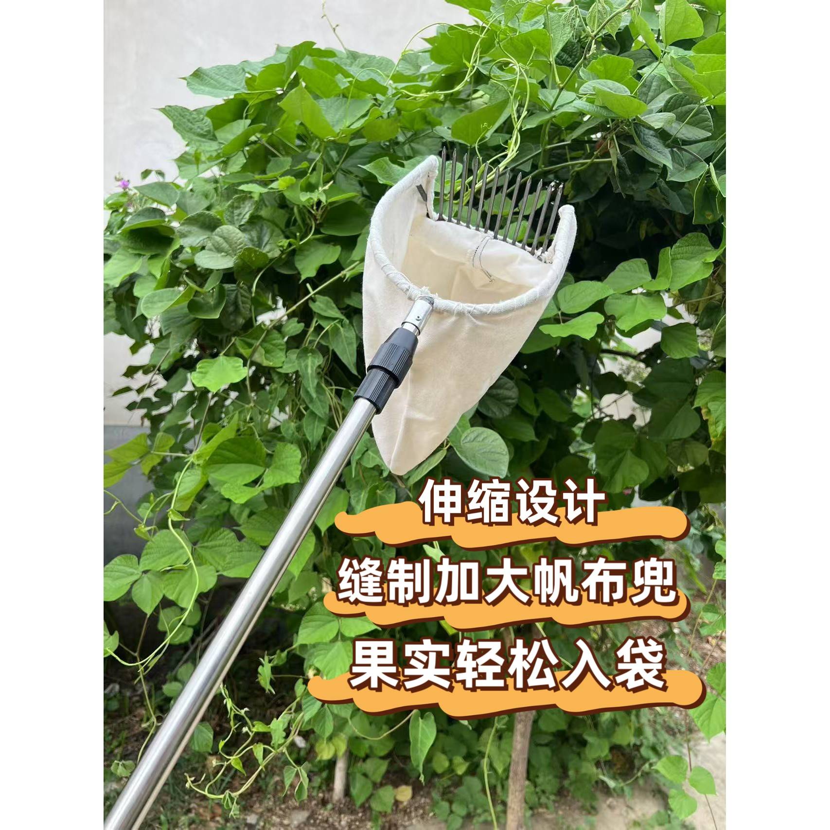 新款伸缩杆摘酸枣神器摘柏树籽摘大枣摘山核桃山枣山杏山桃采摘器