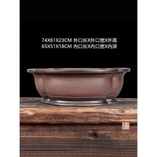 宜兴紫砂盆景大花盆 全手工仿古海棠形紫泥松柏杜鹃老桩74公分