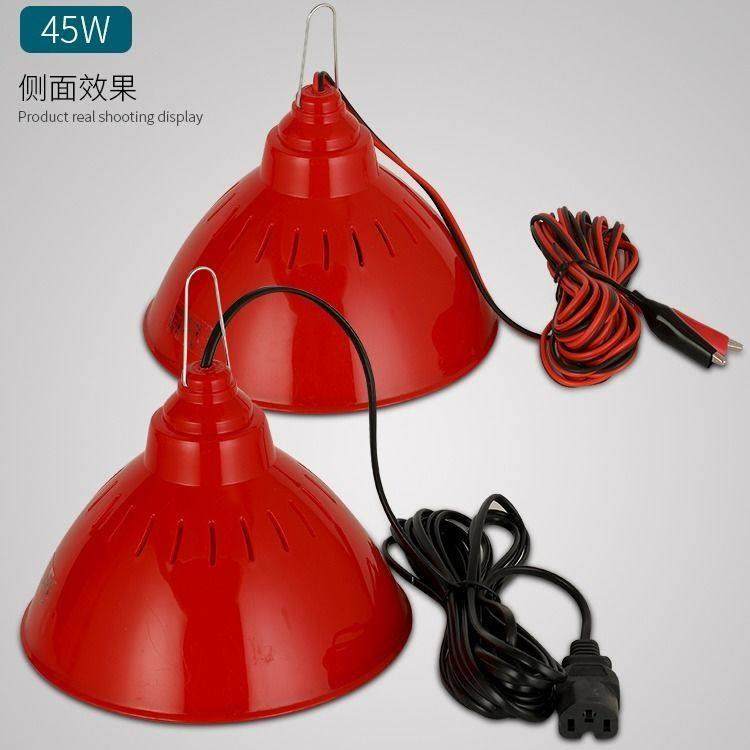 12vled摆摊灯猪肉夜市灯三轮车电瓶低压生鲜灯水果卤菜熟食可变光,家装灯饰光源,LED球泡灯,淘宝优惠券,粉丝福利购,淘宝优惠卷