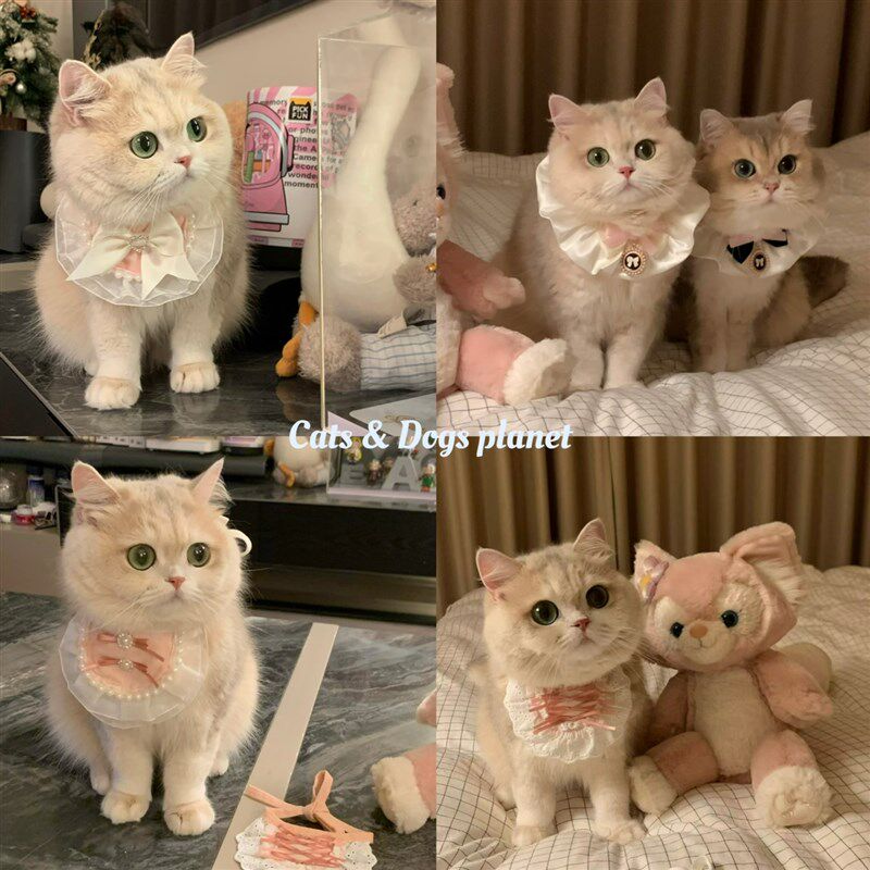 速发猫赫围兜口水巾咪本蝴芭蕾风宫廷风小仙珍珠蕾丝风蝶结围兜