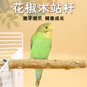 速发花椒木站杆鹩架画眉鹦鹉鸟站杠磨爪息栖棒杠站杆鹦鹉磨嘴站哥