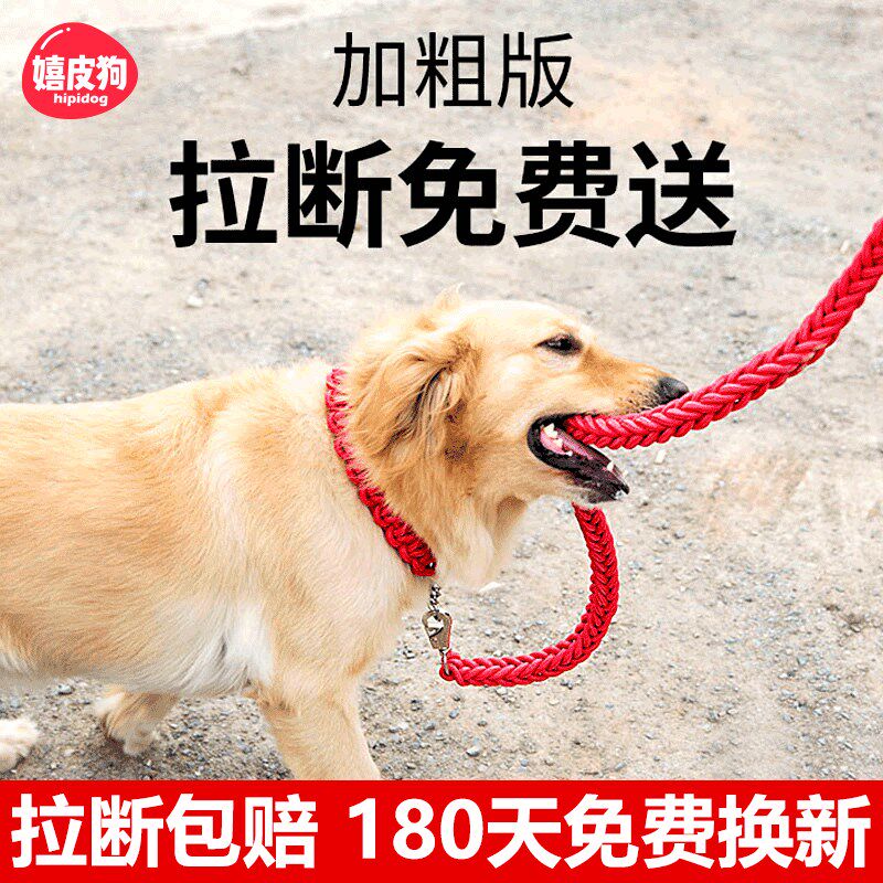 速发训链p链防爆冲金毛大型绳专用中小狗型犬狗链子P绳