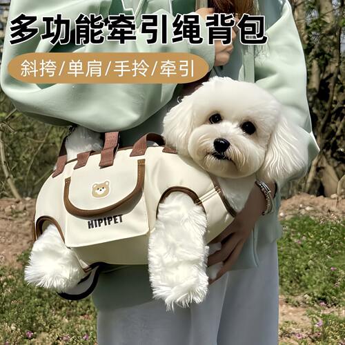 宠物狗狗小型犬猫咪便携可斜跨手提包单肩包宠物外带包卡通背带包