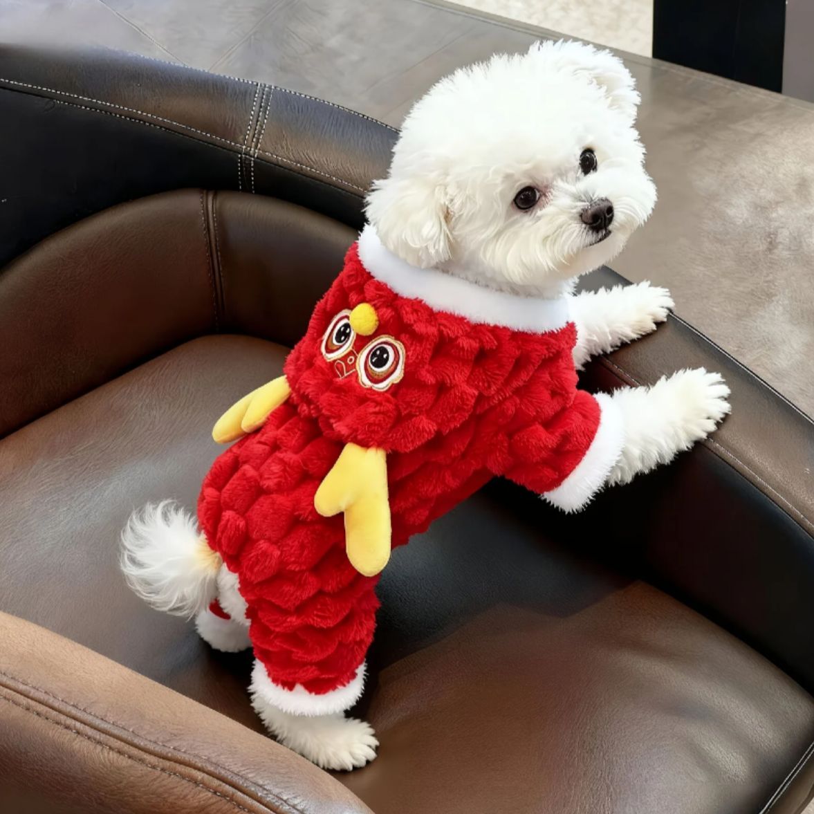 狗狗衣服带帽子连帽新年龙角秋冬四脚衣泰迪比熊博美猫咪防寒保暖