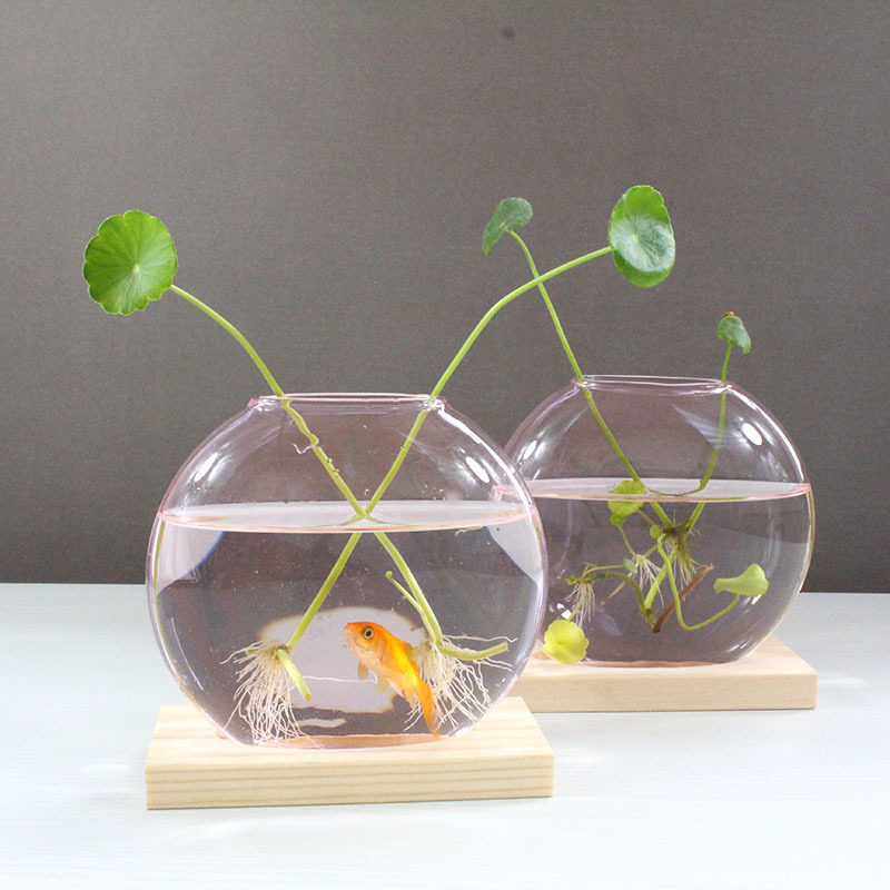 粉色圆饼微景观植物花瓶