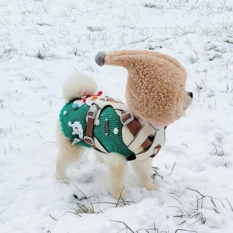 狗狗巫师帽新年冬季宠物可爱头套帽子衣服博美比熊泰迪小型犬保暖