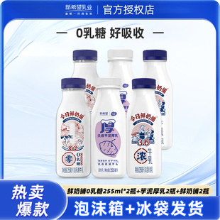 新希望今日鲜奶铺0乳糖牛乳芋泥厚乳255ml瓶组合装 低温营养早餐奶