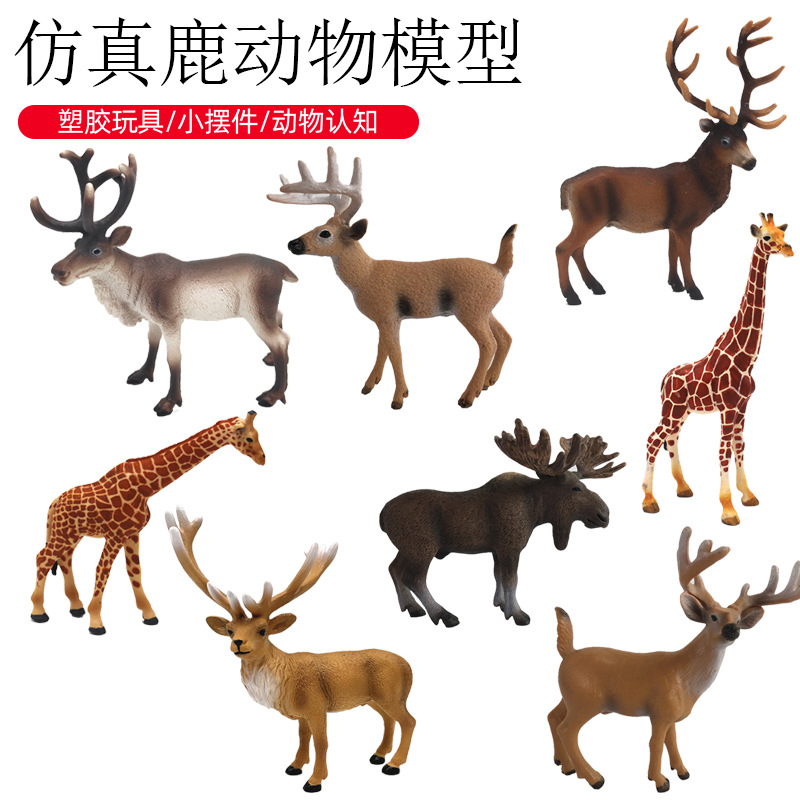 仿真野生动物白尾鹿认知摆件梅花鹿麋鹿长颈鹿驯鹿模型科教玩