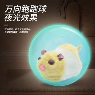 抖音同款仓鼠球仿真电动小兔子滚球玩具宝宝逗猫逗狗儿童礼物