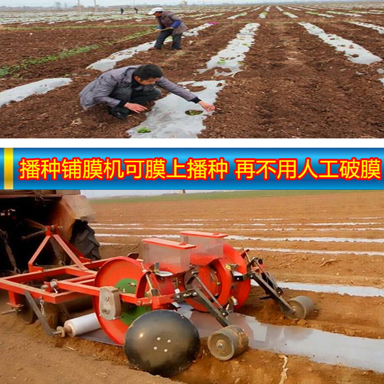 谷子高粱花生大豆精播点播机