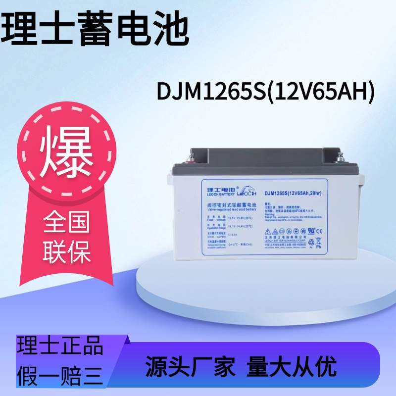 UPS电源外置蓄电池DJM12-100S/12V100AH/直流屏专用理士蓄电池