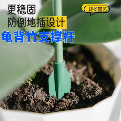 防倒伏支撑杆植物龟背竹专用支架蝴蝶兰秋海棠番茄固定神器支撑架