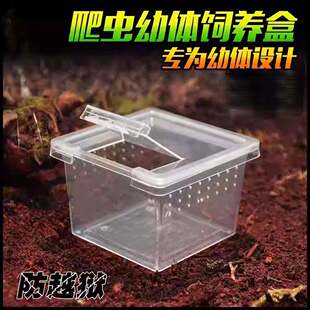 蚕宝宝专用盒昆虫饲养盒爬虫盒玉米箱乌龟缸角蛙守宫蜗牛养蚕盒子