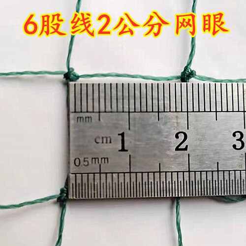 大棚风口防鸟f网葡萄棚围边网天沟网幼鸡养殖防护网稻田菜地防鸡