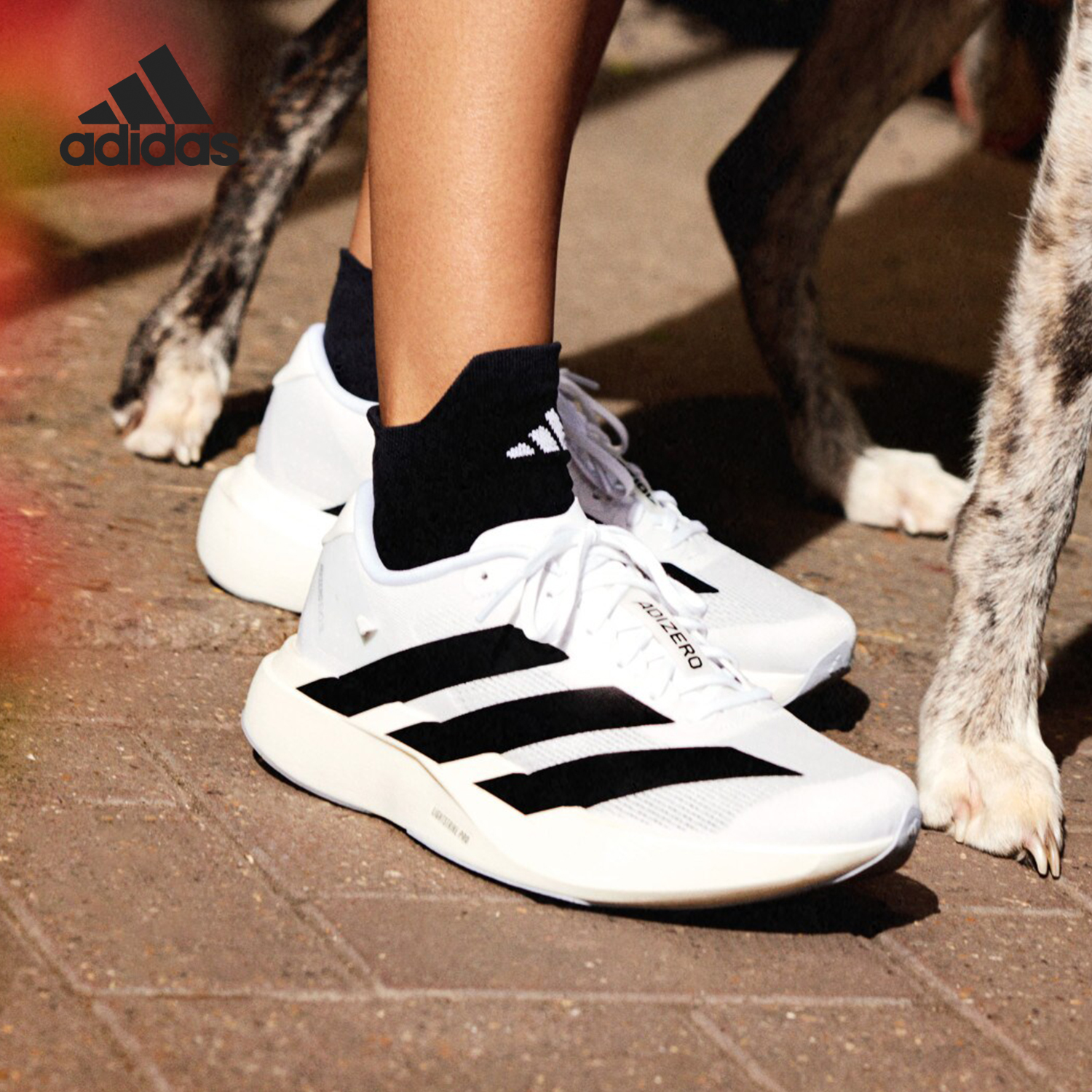 Adidas/阿迪达斯正品新款女士缓震弹力训练耐磨跑步鞋JH6208