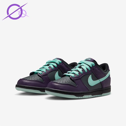 Nike/耐克正品Dunk Low GS女子大童休闲轻便低帮板鞋FB9109-013