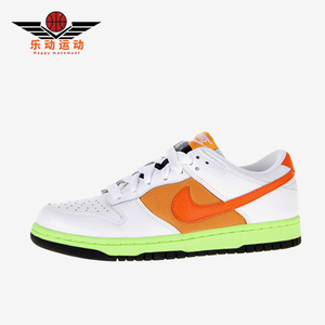 Nike/耐克正品女士防滑轻便透气经典运动休闲耐磨板鞋317813-181